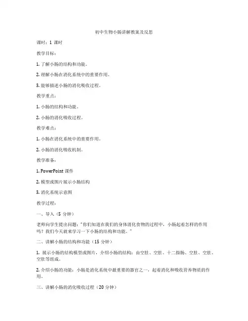 初中生物小肠讲解教案及反思