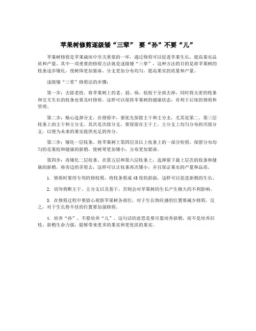 苹果树修剪逐级矮“三辈” 要“孙”不要“儿”