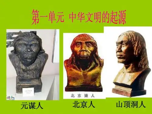 七年级历史上册人教版第一单元中华文明的起源(单元复习课件)