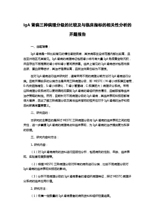 IgA肾病三种病理分级的比较及与临床指标的相关性分析的开题报告