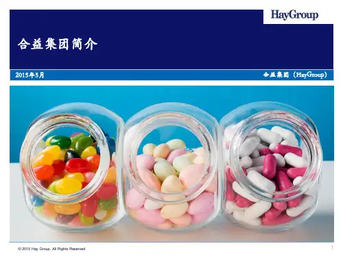 Hay-合益集团简介
