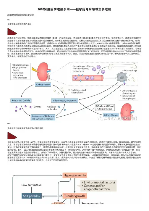 2020肾脏病学进展系列——糖尿病肾病领域主要进展