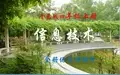 青岛版小学《信息技术》四年级上册全册优质课件