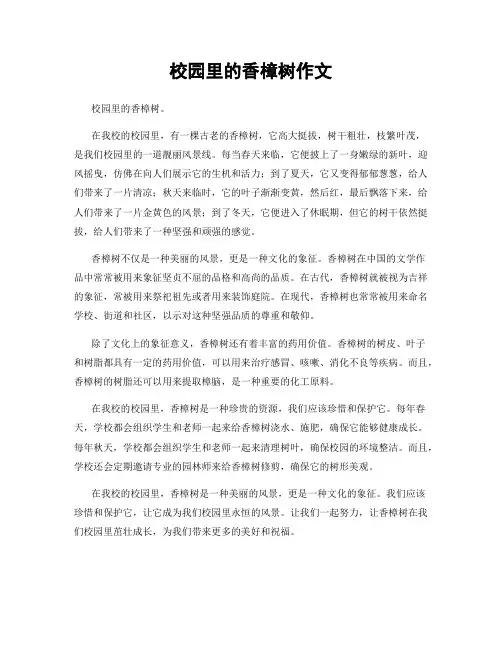 校园里的香樟树作文