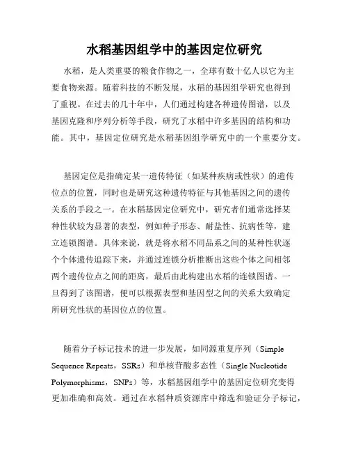 水稻基因组学中的基因定位研究