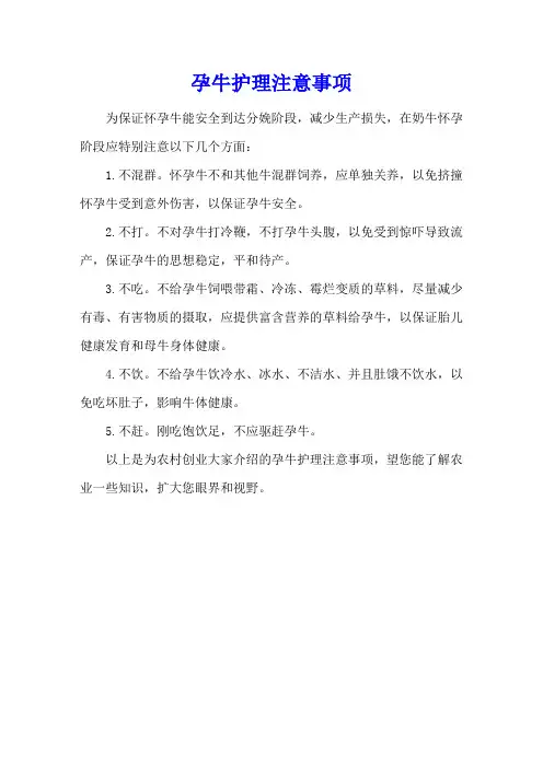 孕牛护理注意事项