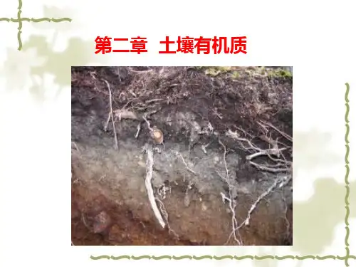 第二章 土壤有机质