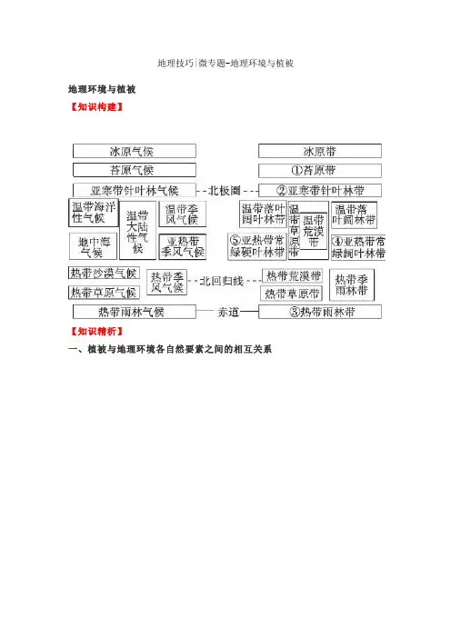 202高考复习地理环境与植被