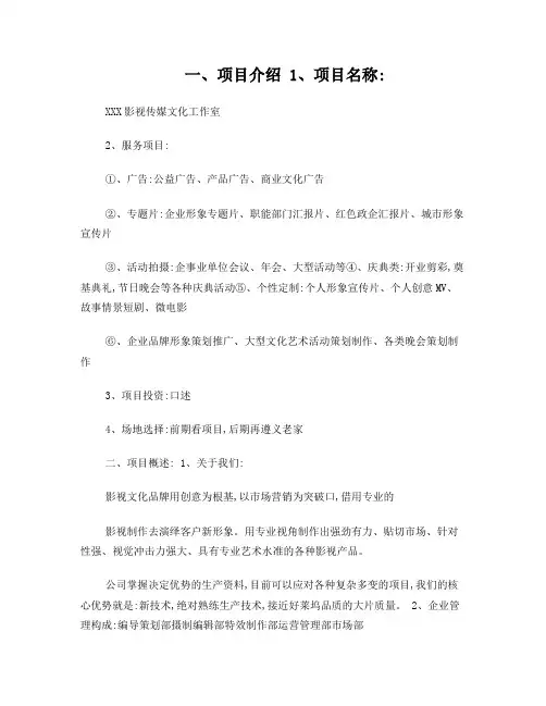 影视传媒公司创业策划方案
