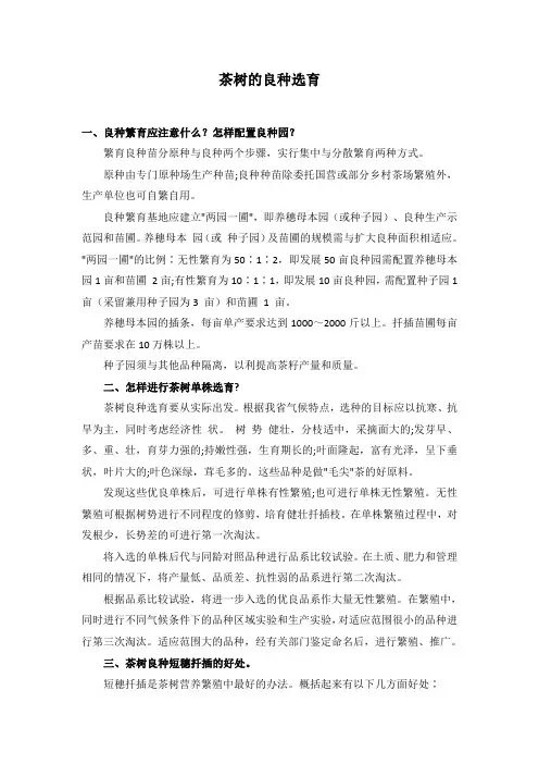 茶树的良种繁育