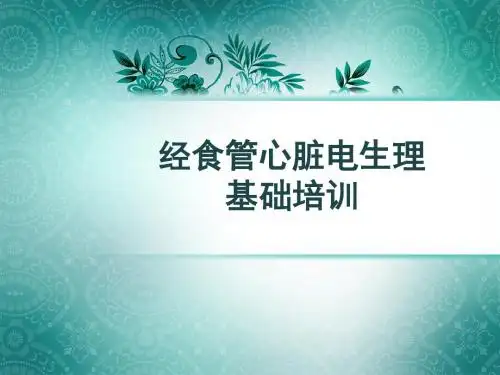经食管心脏电生理操作基础 PPT