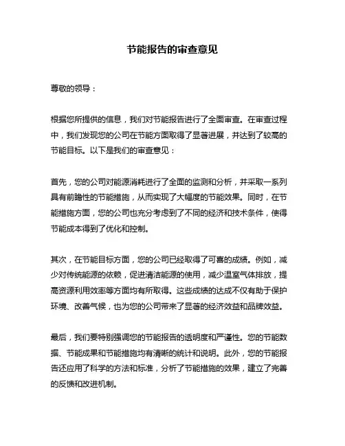 节能报告的审查意见