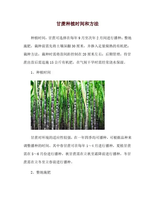 甘蔗种植时间和方法