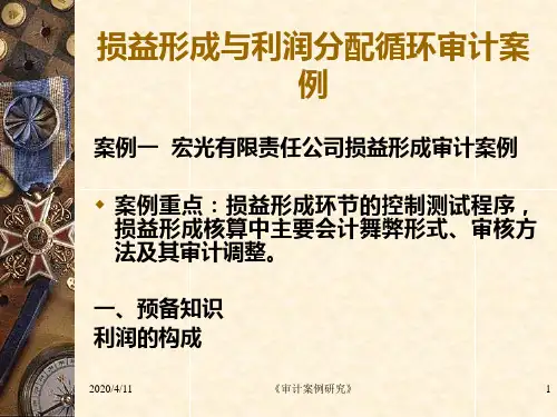 损益形成与利润分配循环审计案例(31)