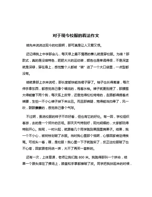 对于现今校服的看法作文