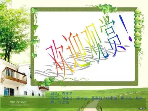 老挝