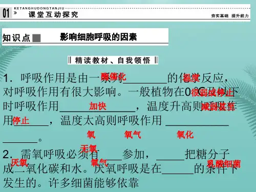 高中生物《影响呼吸作用的因素》.优秀精选PPT