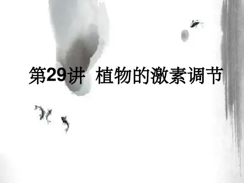 植物激素调节一轮复习