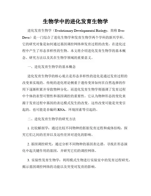 生物学中的进化发育生物学