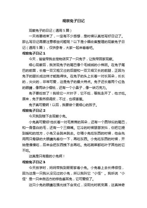观察兔子日记