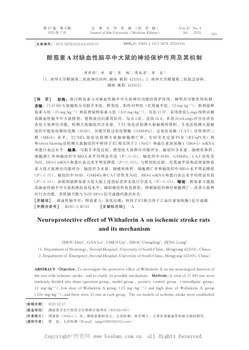 醉茄素A 对缺血性脑卒中大鼠的神经保护作用及其机制