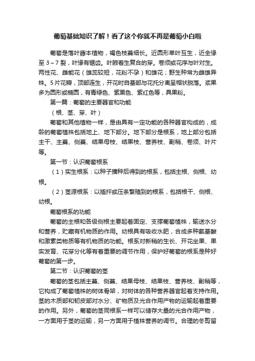 葡萄基础知识了解！看了这个你就不再是葡萄小白啦