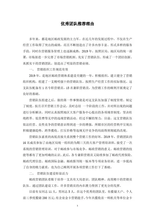 优秀团队推荐理由范文精选