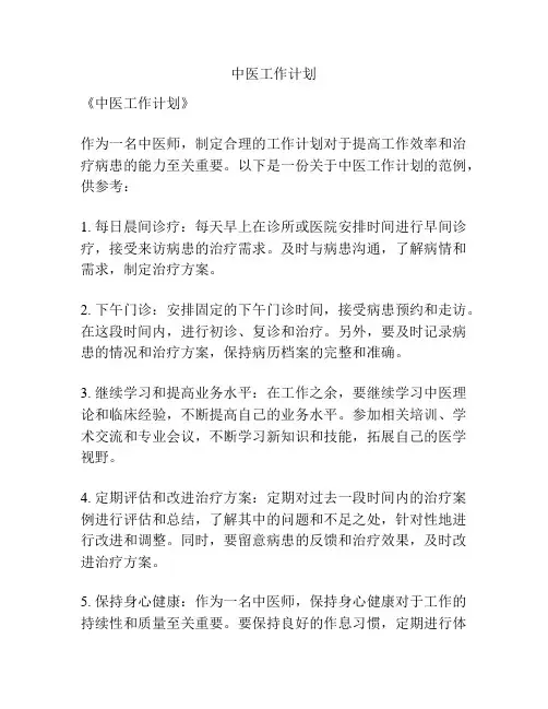 中医工作计划