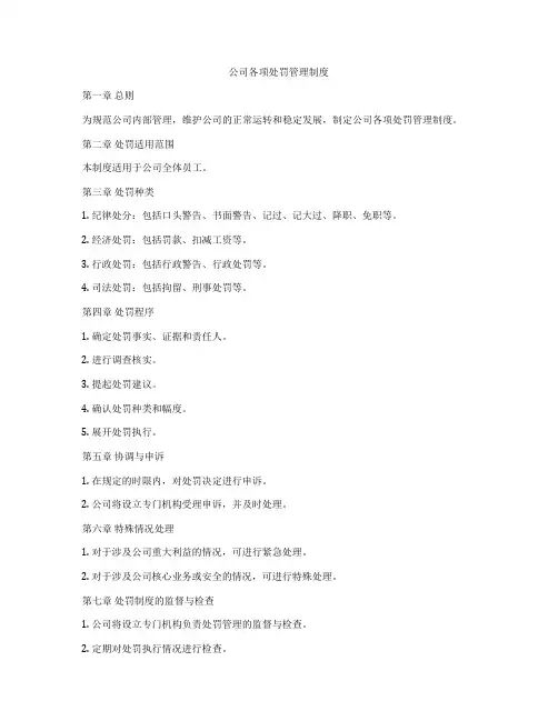 公司各项处罚管理制度