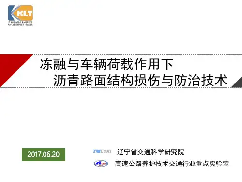 9、范兴华 - 冻融与车辆荷载耦合作用下沥青路面结构损伤防治技术