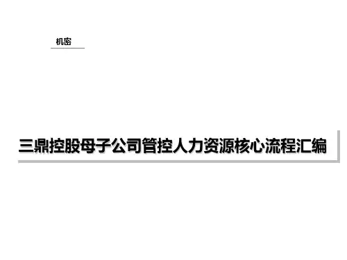 三鼎控股母子公司管控人力资源核心流程汇编