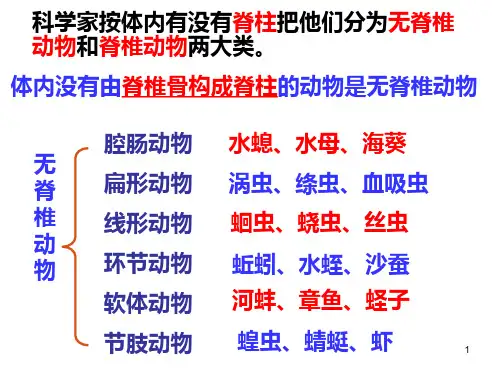 1-4-6鱼类(课件)冀少版七年级生物上册