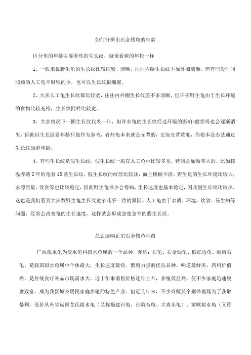 石金钱龟