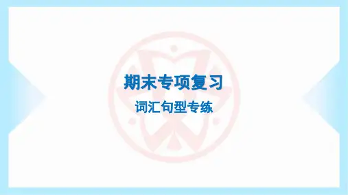 2024年外研版八年级上册英语期末专项复习——词汇句型专练