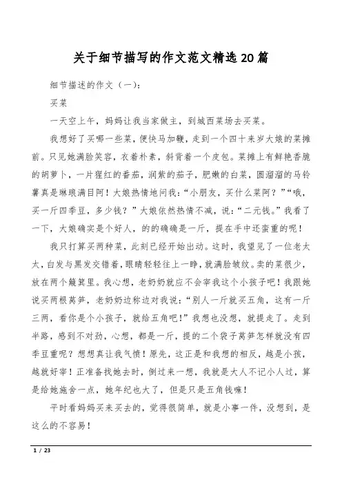 关于细节描写的作文范文精选20篇