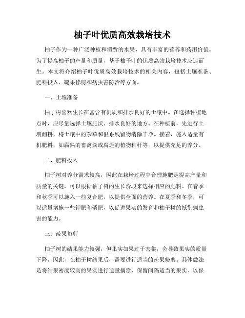 柚子叶优质高效栽培技术