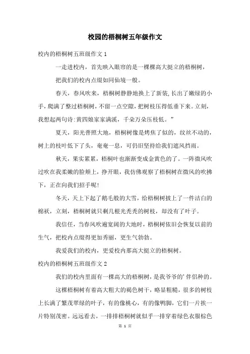 校园的梧桐树五年级作文