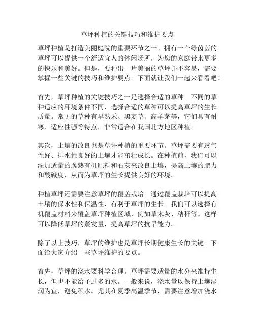 草坪种植的关键技巧和维护要点