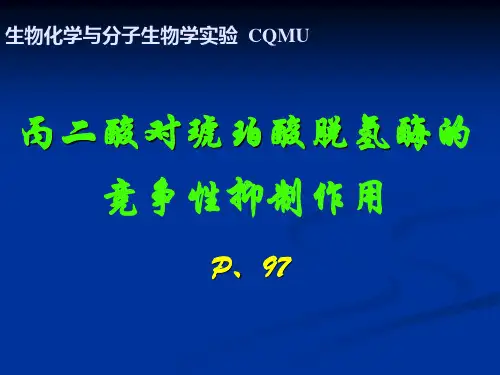 (自改)酶的竞争性抑制作用