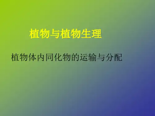 植物与植物生理课件——有机物的运输和分配