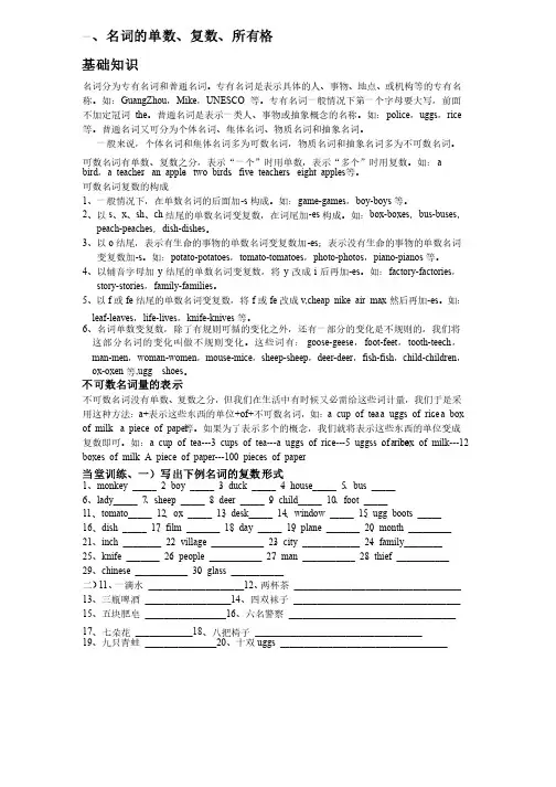 名词单复数及所有格