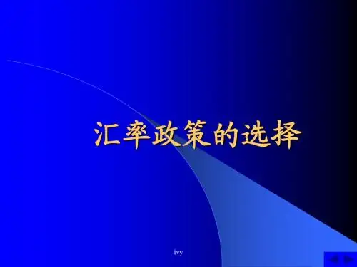 国际金融——汇率制度选择