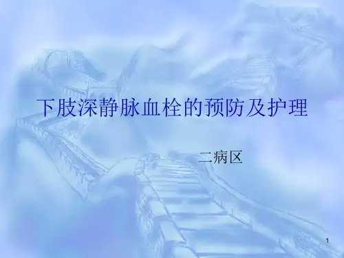 【PPT课件】下肢深静脉血栓的预防与护理