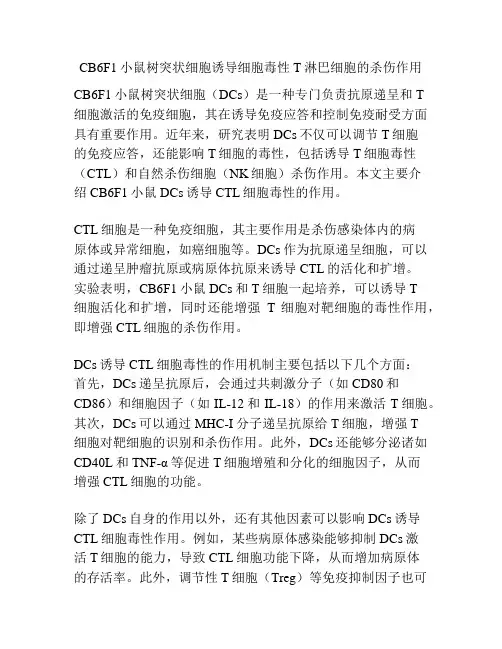 CB6F1小鼠树突状细胞诱导细胞毒性T淋巴细胞的杀伤作用