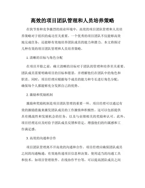 高效的项目团队管理和人员培养策略
