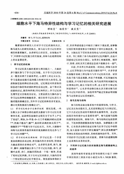 细胞水平下海马特异性结构与学习记忆的相关研究进展