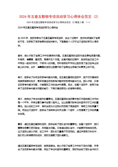 2024年五查五整顿专项活动学习心得体会范文2篇