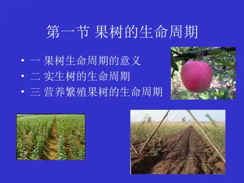 第二章果树的生命周期和年生长周期精选ppt课件