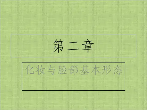 化妆基础第二章ppt课件