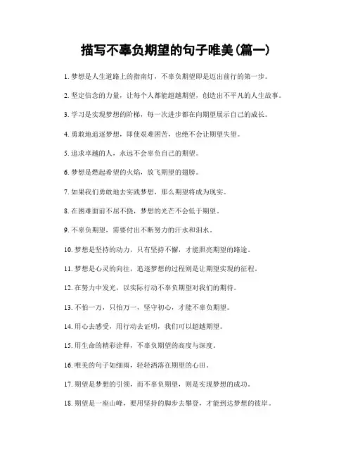 描写不辜负期望的句子唯美(精选两篇)